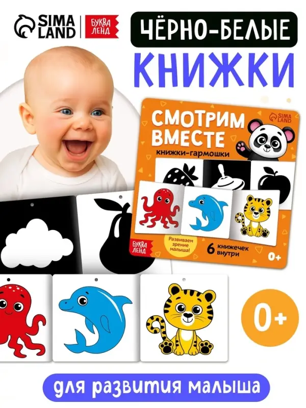 Набор картонных книжек-гармошек "Смотрим вместе", 6 шт.