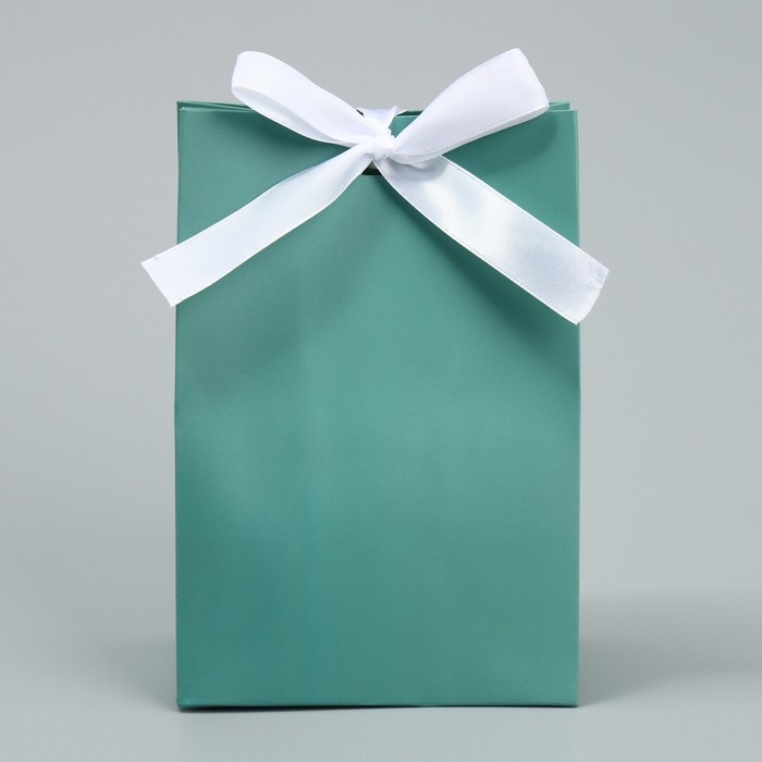 Пакет подарочный с лентой, упаковка, &laquo;Тиффани&raquo;, 13 х 19 х 9 см