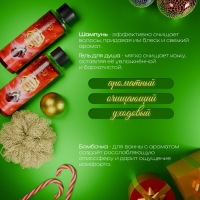 Новогодний подарочный набор косметики «Зимняя вьюга», с ароматом вишни и корицы. Красная серия Новогодний подарочный набор косметики «Зимняя вьюга», с ароматом вишни и корицы. Красная серия