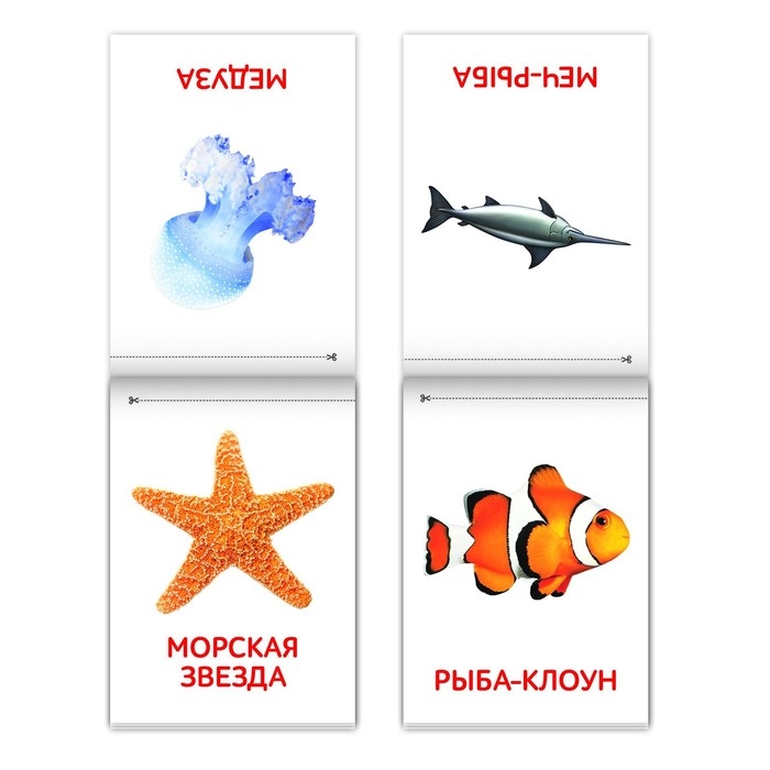 Книги &laquo;Карточки Домана. Окружающий мир&raquo;, набор, 8 шт. по 20 стр.