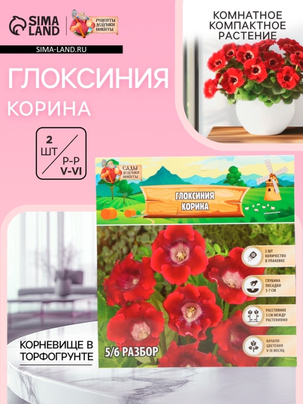 Глоксиния &laquo;Корина&raquo;, многолетник, комнатный, луковица в пакете с перфорацией, р-р 5/6, 2 шт.