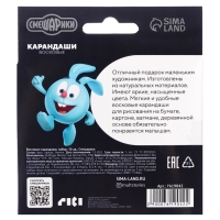 Подарочный набор для творчества, 4 предмета, Смешарики Подарочный набор для творчества, 4 предмета, Смешарики