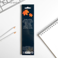 Магнитные закладки для книг в открытке &laquo;Учителю: Сила в знаниях&raquo;, 4 шт.