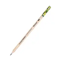Карандаш чёрнографитный Berlingo "Green Series", HB, шестигранный, заточенный, пластиковый, ассорти
