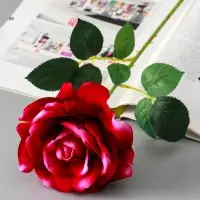 Цветы искусственные "Роза Аманда" бархат, d-11 см 58 см, сиреневый