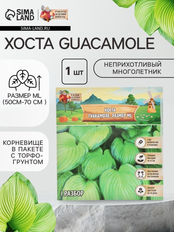 Хоста Guacamole, корневище в пакете с торфогрунтом, р-р I, размер ML,1 шт.