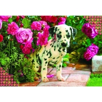 Алмазная мозаика с полным заполнением на холсте &laquo;Далматинец&raquo;, 22 х 32 см
