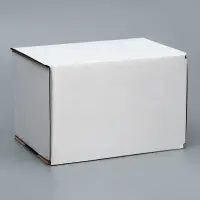 Коробка самосборная, белая, 17&times;12&times;10 см