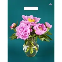 Пакет &laquo;Любимые пионы&raquo;, полиэтиленовый с вырубной ручкой, 40&times;31 см, 60 мкм