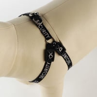 Комплект Security dog, шлейка 26-39 см, поводок 120х1 см Комплект Security dog, шлейка 26-39 см, поводок 120х1 см