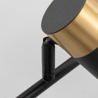 Бра "Антрес" LED 46Вт 3000-6000К черно-золотой 19х18х40 см