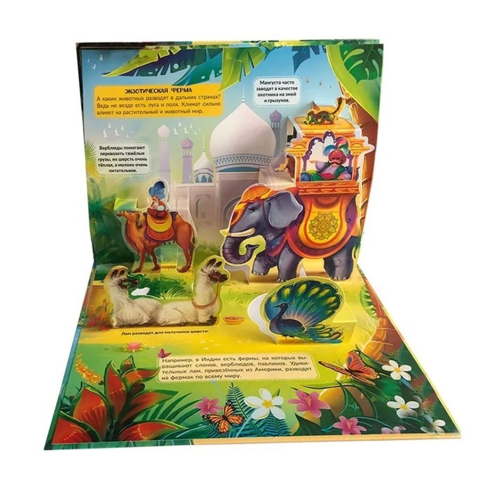 Энциклопедия &laquo;Ферма&raquo; книжка-панорамка, POP UP