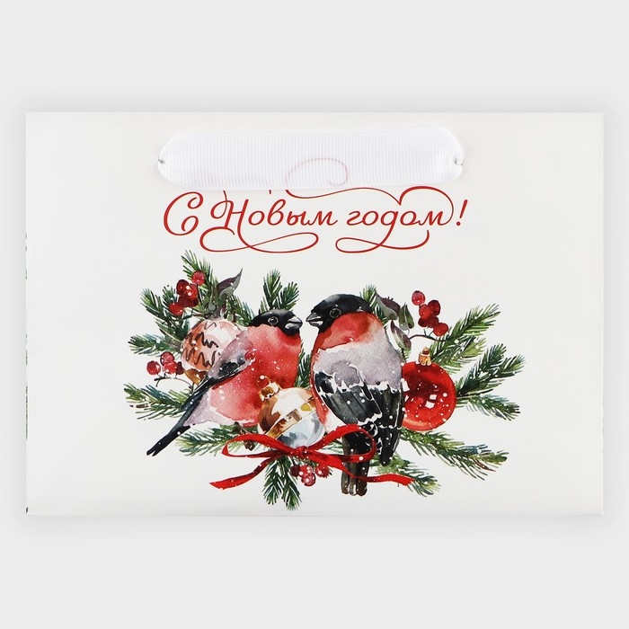 Пакет подарочный новогодний с широким дном &laquo;С Новым годом&raquo;, 20&times;14&times;13 см