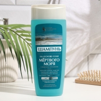 Шампунь для волос &laquo;Российский Институт Красоты и Здоровья&raquo;, на основе соли мертвого моря, 270 мл   1