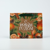 Пакет подарочный новогодний крафтовый вертикальный «С Новым годом», мандарины, MS 18 х 23 х 10 см , Новый год Пакет подарочный новогодний крафтовый вертикальный «С Новым годом», мандарины, MS 18 х 23 х 10 см , Новый год
