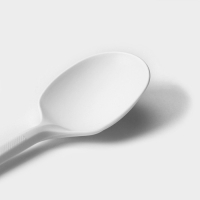 Набор одноразовых ложек из кукурузного крахмала Nature, 14 см, 6 шт Набор одноразовых ложек из кукурузного крахмала Nature, 14 см, 6 шт