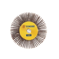 Круг лепестковый радиальный ТУНДРА, 60&times;30&times;6 мм, Р80