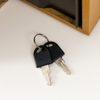 Сейф шкатулка книга "Горе от ума" 21х13х5 см Сейф шкатулка книга "Горе от ума" 21х13х5 см