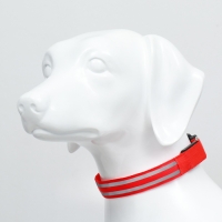 Ошейник с подсветкой Двойная полоса размер XL, ОШ 52-60 х 2,5 см, 3 режима свечения красный 97722 Ошейник с подсветкой Двойная полоса размер XL, ОШ 52-60 х 2,5 см, 3 режима свечения красный 97722