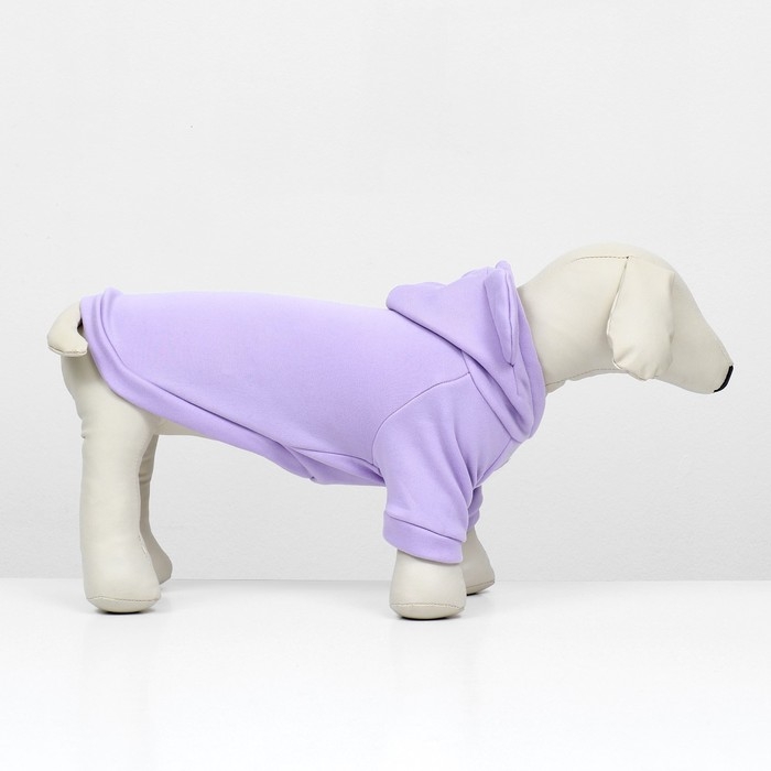 Кофта с капюшоном Кофта с капюшоном "Медвеженок", флис, размер S (ДС 21, ОШ 24, ОГ 30 см), фиолетовая