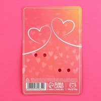 Значки деревянные, неразлучники &laquo;Одно приключение&raquo;, 2 шт., 8 х 12 см.