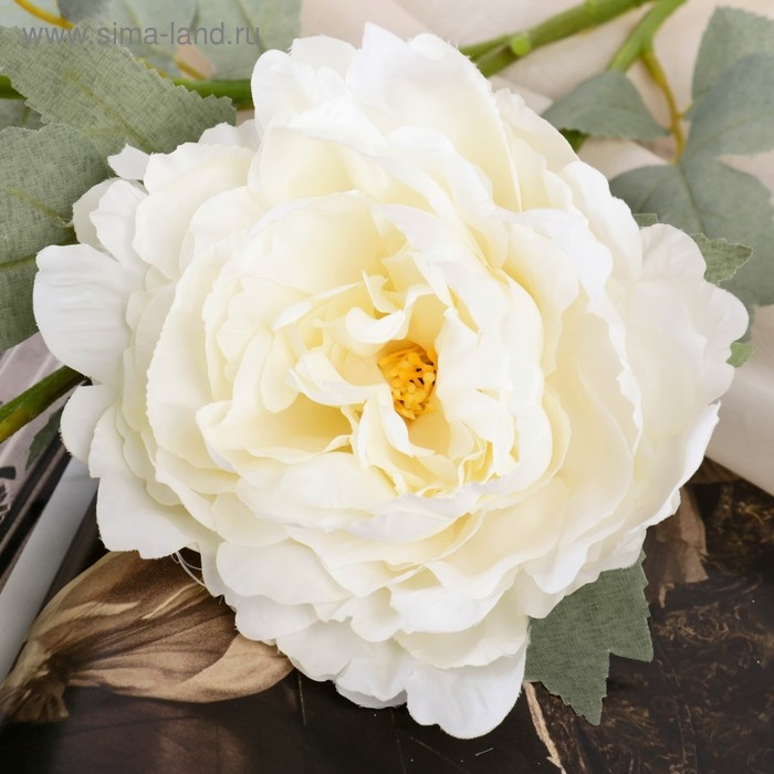 Цветы искусственные Цветы искусственные "Пион Лунная река" 12х85 см, белый