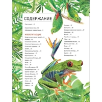 Энциклопедия «Удивительные животные» Энциклопедия «Удивительные животные»