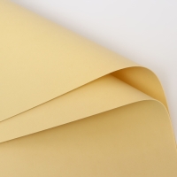 Фоамиран 0,8-1 мм белая роза 60х70 см Фоамиран 0,8-1 мм белая роза 60х70 см