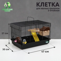 Клетка для грызунов "Пижон", с наполнением 47 х 30 х 27 см, чёрная Клетка для грызунов "Пижон", с наполнением 47 х 30 х 27 см, чёрная