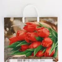 Пакет "Спасибо, полиэтиленовый, пластиковая ручка 37х35 см 90 мкм