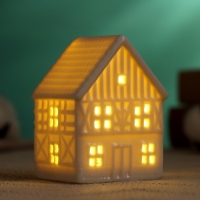 Фигура с подсветкой "Домик" 5,5х5х8см, 2/LR41