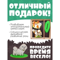 Игровой набор в коробке &laquo;Собаки декоративные&raquo;