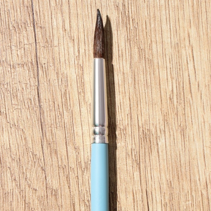 Кисть для рисования набор 4 шт. пони круглые &laquo;Ван Гог&raquo; № 2, 4, 6, 8