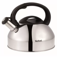 Чайник для плиты из нержавеющей стали C7922024, 3 л