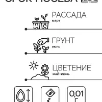 Семена цветов Камнеломка "Бархатный ковер", 0,01 г