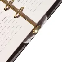 Органайзер на кольцах, А5, с хлястиком, 80л, линия, к/зам, Черный