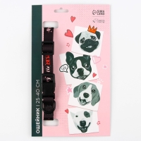 Ошейник My dog is the best, застёжка - фастекс, 2 см 25-40 см Ошейник My dog is the best, застёжка - фастекс, 2 см 25-40 см
