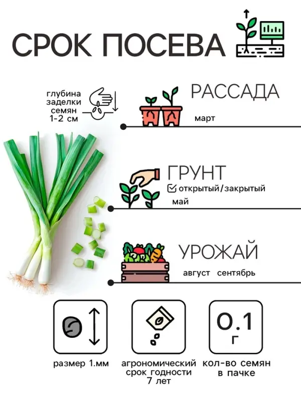 Семена Лук порей "Карантанский", 0,1 г