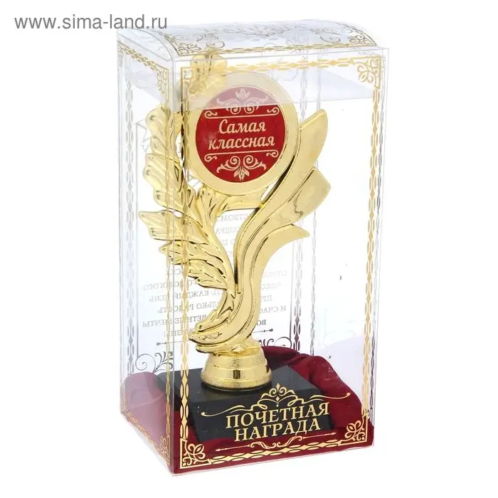 Кубок "Самая классная"