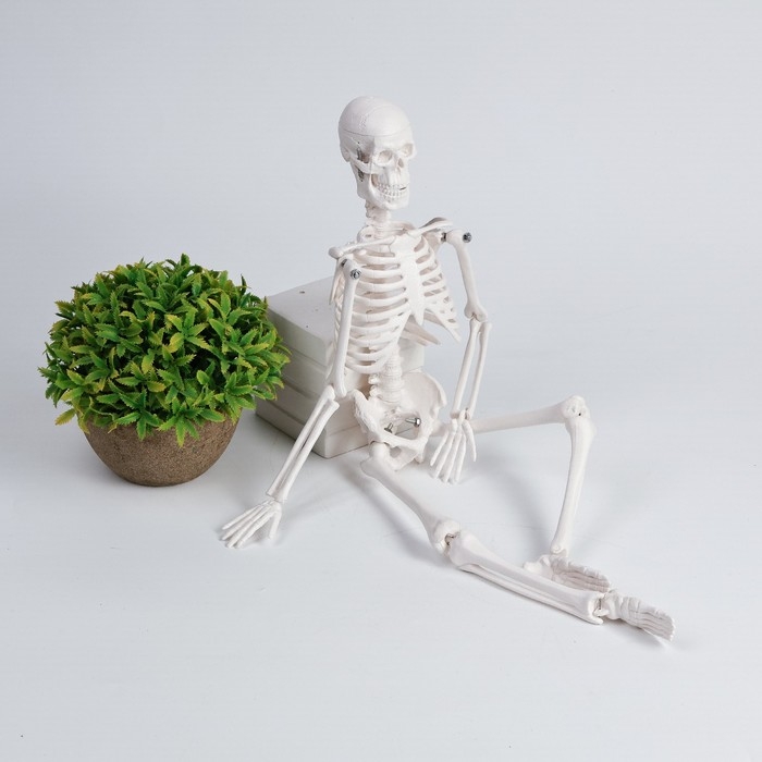 Фигурка "Скелет" 45 см