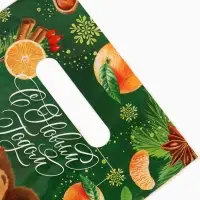 Подарочные пакеты, полиэтилен, набор 10 шт &laquo;Новый год&raquo;