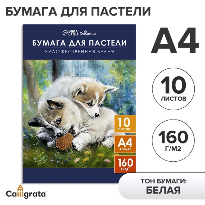 Бумага для пастели А4, 10 листов Бумага для пастели А4, 10 листов "Щенки", блок 160 г/м2, в папке