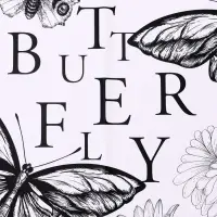 Пленка для цветов, &laquo;Бабочки&raquo;, розовый, 57&times;57&plusmn;1 см