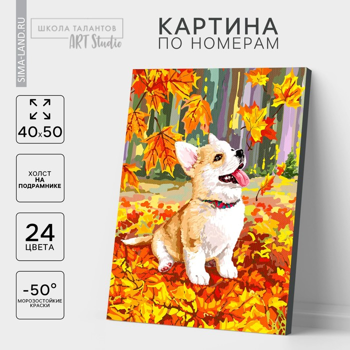 Картина по номерам на холсте с подрамником &laquo;Корги в осенней листве&raquo;, 40 х 50 см