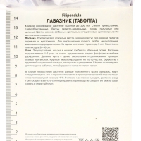 Лабазник вязолистный Вариегата, р-р I, 1 шт, Весна 2025