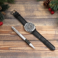 Набор подарочный 2в1 (ручка, часы), микс Набор подарочный 2в1 (ручка, часы), микс