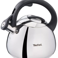 Чайник для плиты Duetto+ N4180110, 2.7 л, стальной