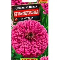 Семена цветов Цинния Крупноцветковая пурпурная , Ц/П,0,3 г