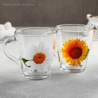 Кружка стеклянная &laquo;Коллекция цветов&raquo;, 250 мл, рисунок МИКС
