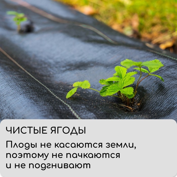 Агроткань застилочная, с разметкой, 5 &times; 3,2 м, плотность 100 г/м&sup2;, полипропилен, Greengo, Эконом 50%